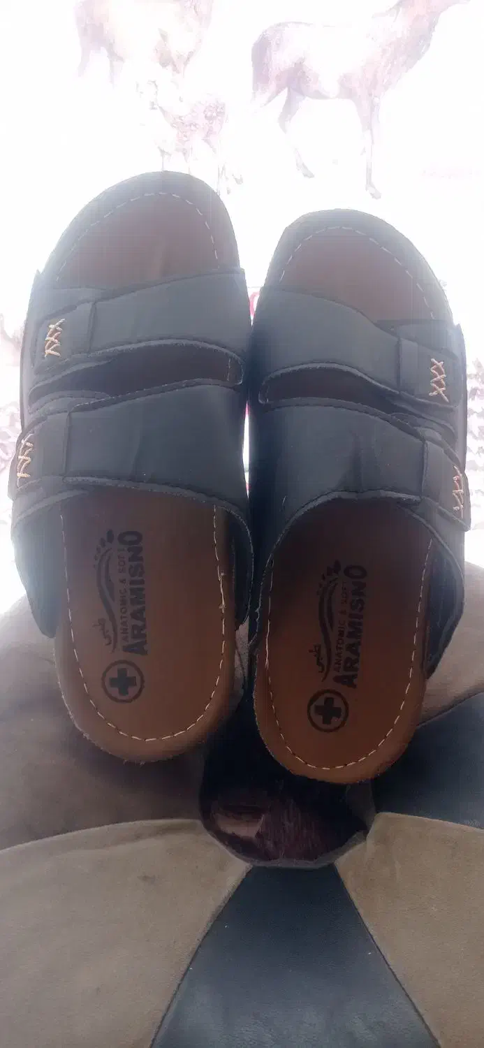 دمپایی مردانه وزنانه حراج|کیف، کفش، کمربند|جهرم, |دیوار