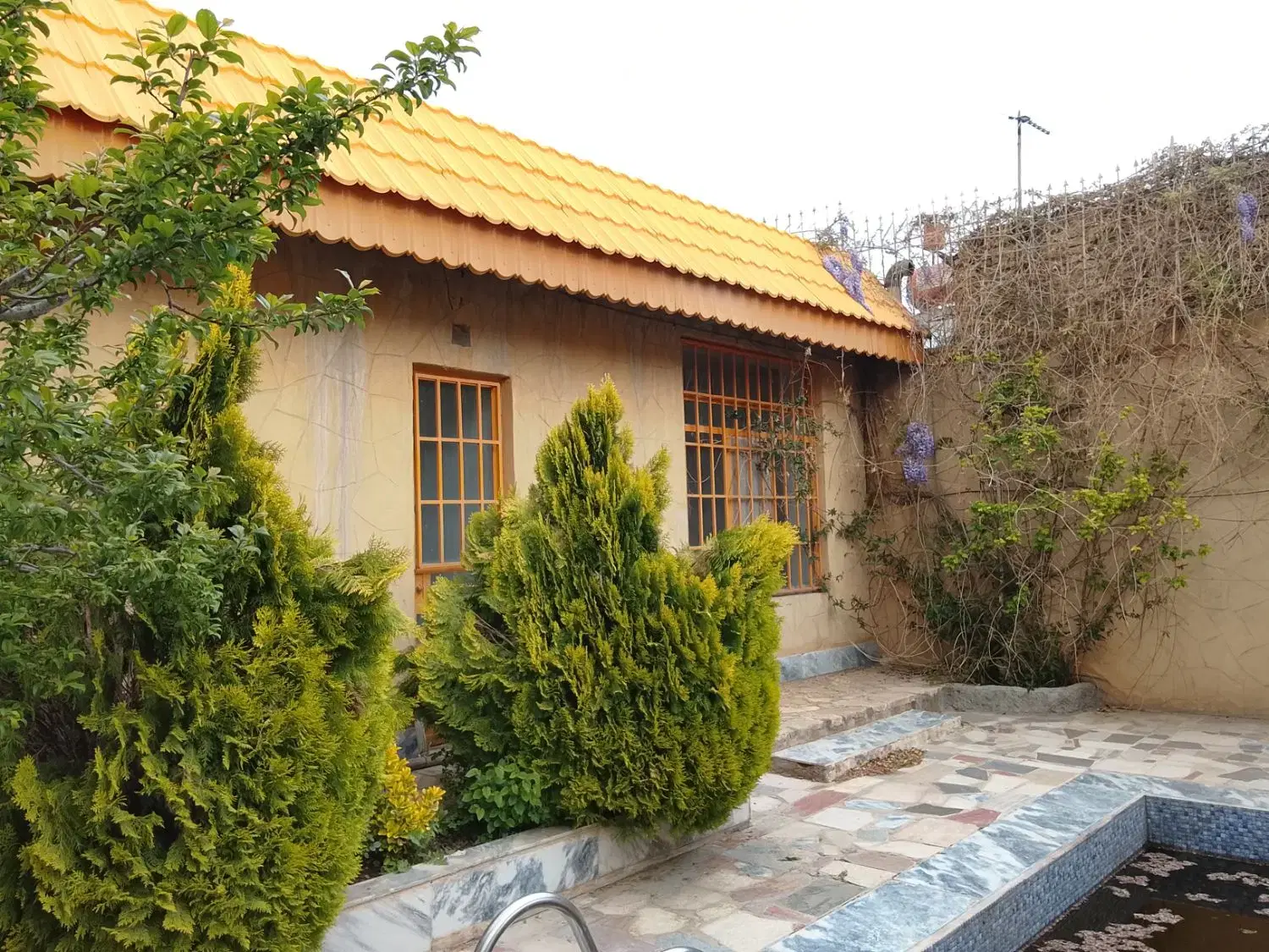 تصویر 5