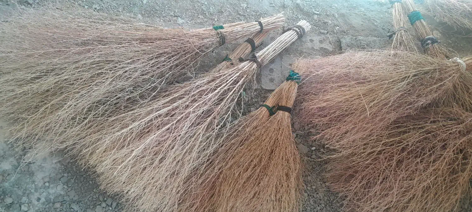 جارو دستی|لوازم نظافت|سلماس, |دیوار