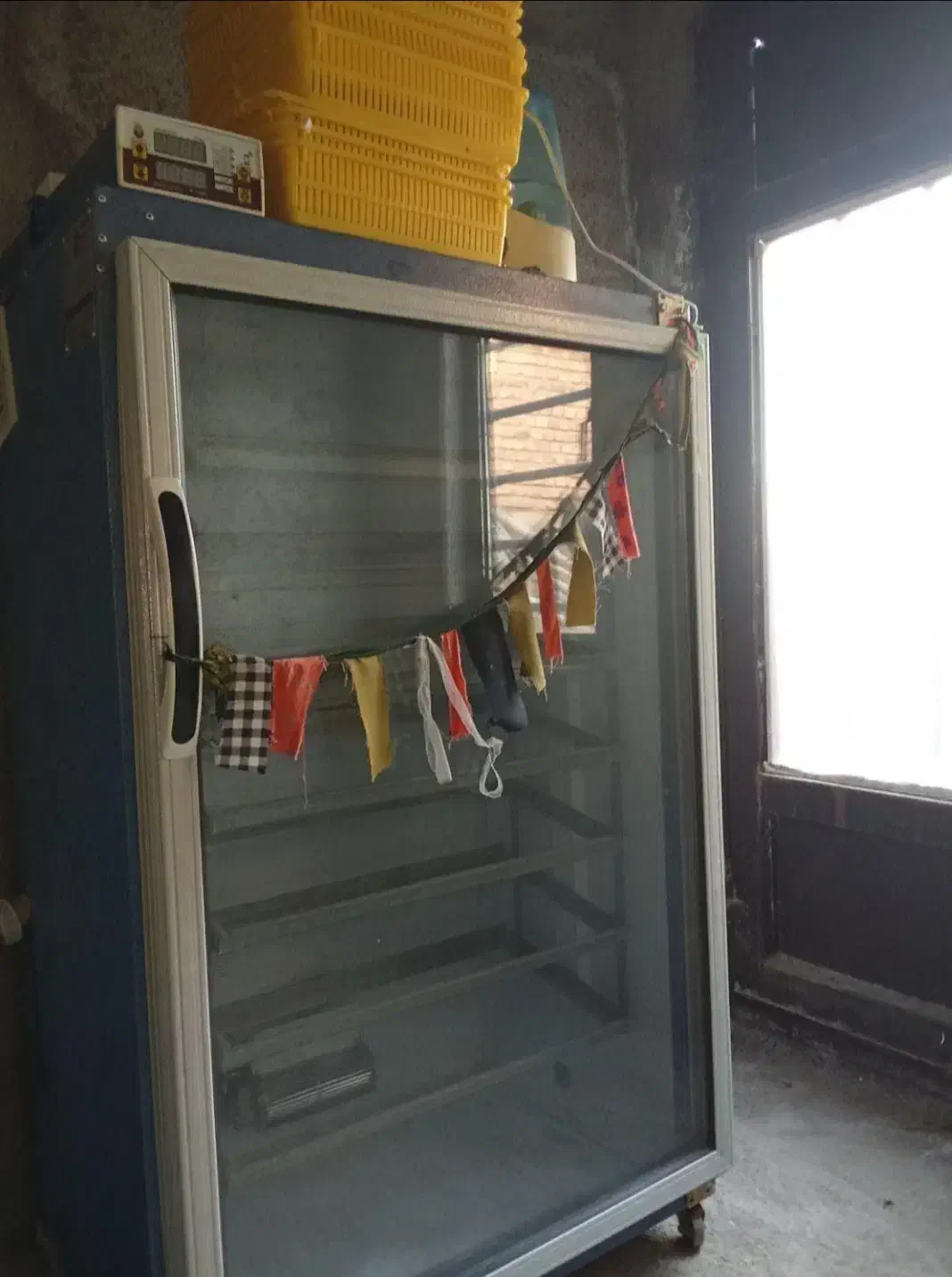 دستگاه جوجه کشی|لوازم جانبی حیوانات|گالیکش, |دیوار