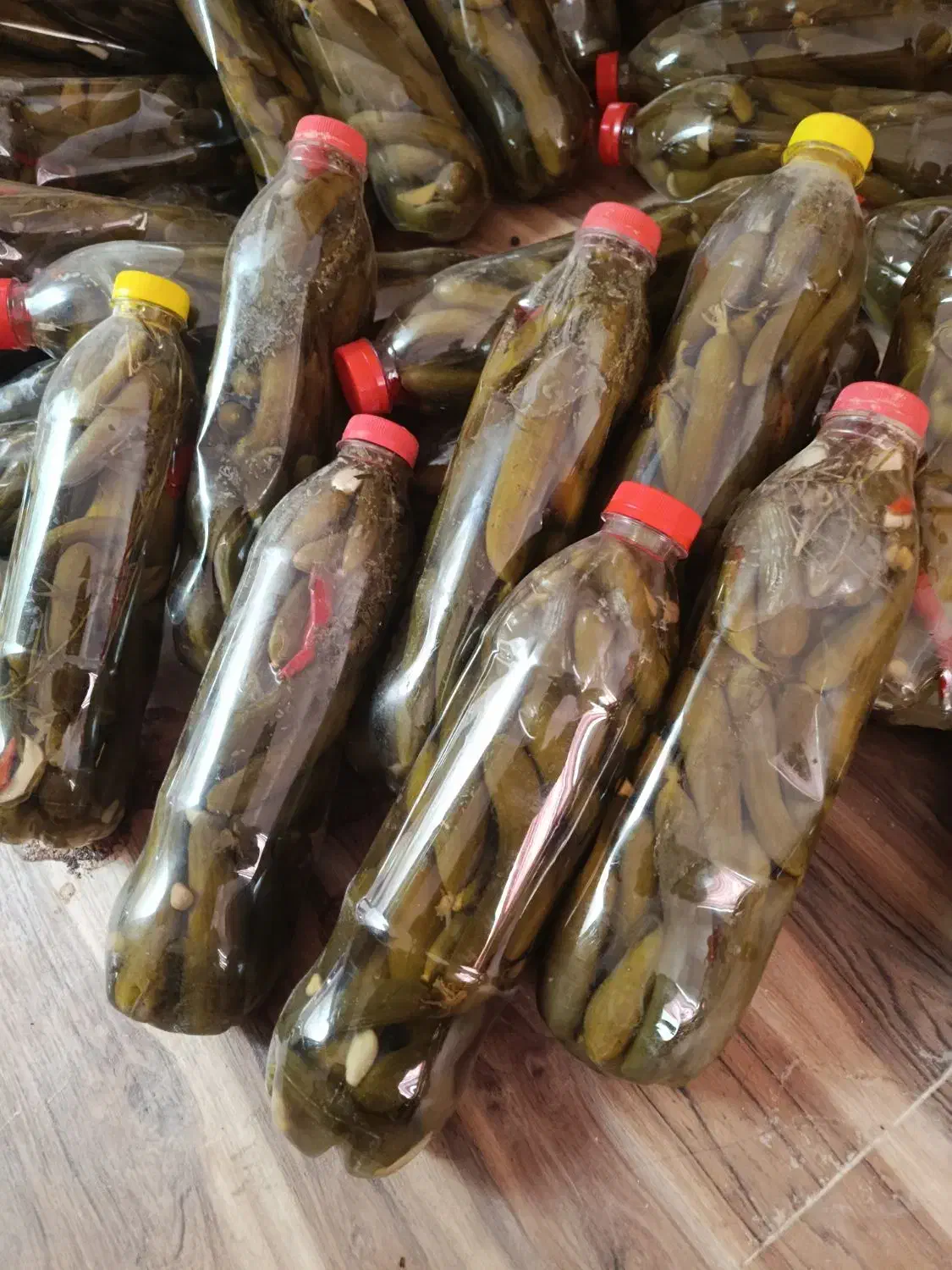 خیارشور|خوردنی و آشامیدنی|زرین دشت (فارس), |دیوار