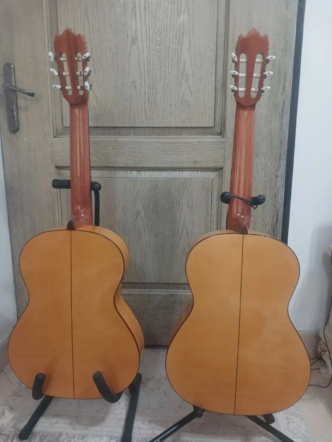 گیتار الحمبرا 3F|گیتار، بیس، امپلیفایر|رشت, شالکو|دیوار