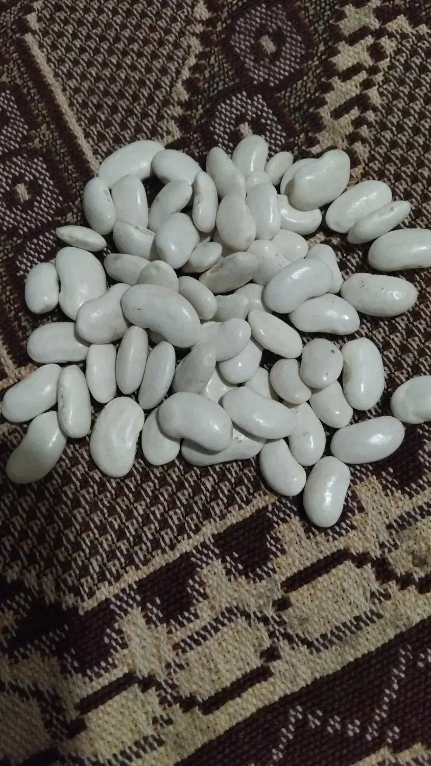 لوبیا سفید|خوردنی و آشامیدنی|ملکان, |دیوار