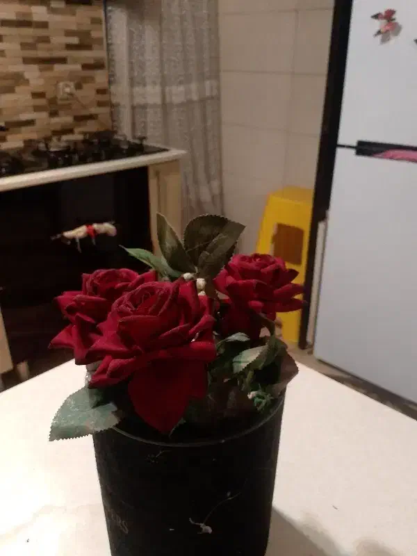 گل رز قرمز|گل مصنوعی|کرج, خرمدشت|دیوار