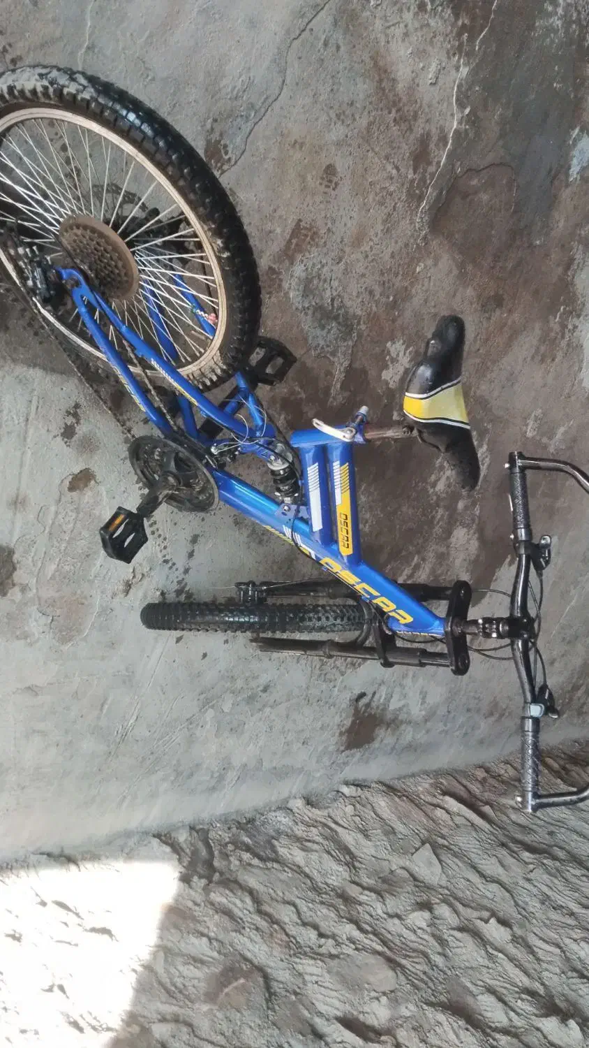 دوچرخه|دوچرخه، اسکیت، اسکوتر|تربت‌حیدریه, بالا ولایت|دیوار