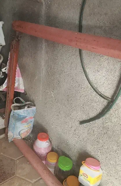 دار قالی|فرش|نیشابور, خط کاشمر|دیوار