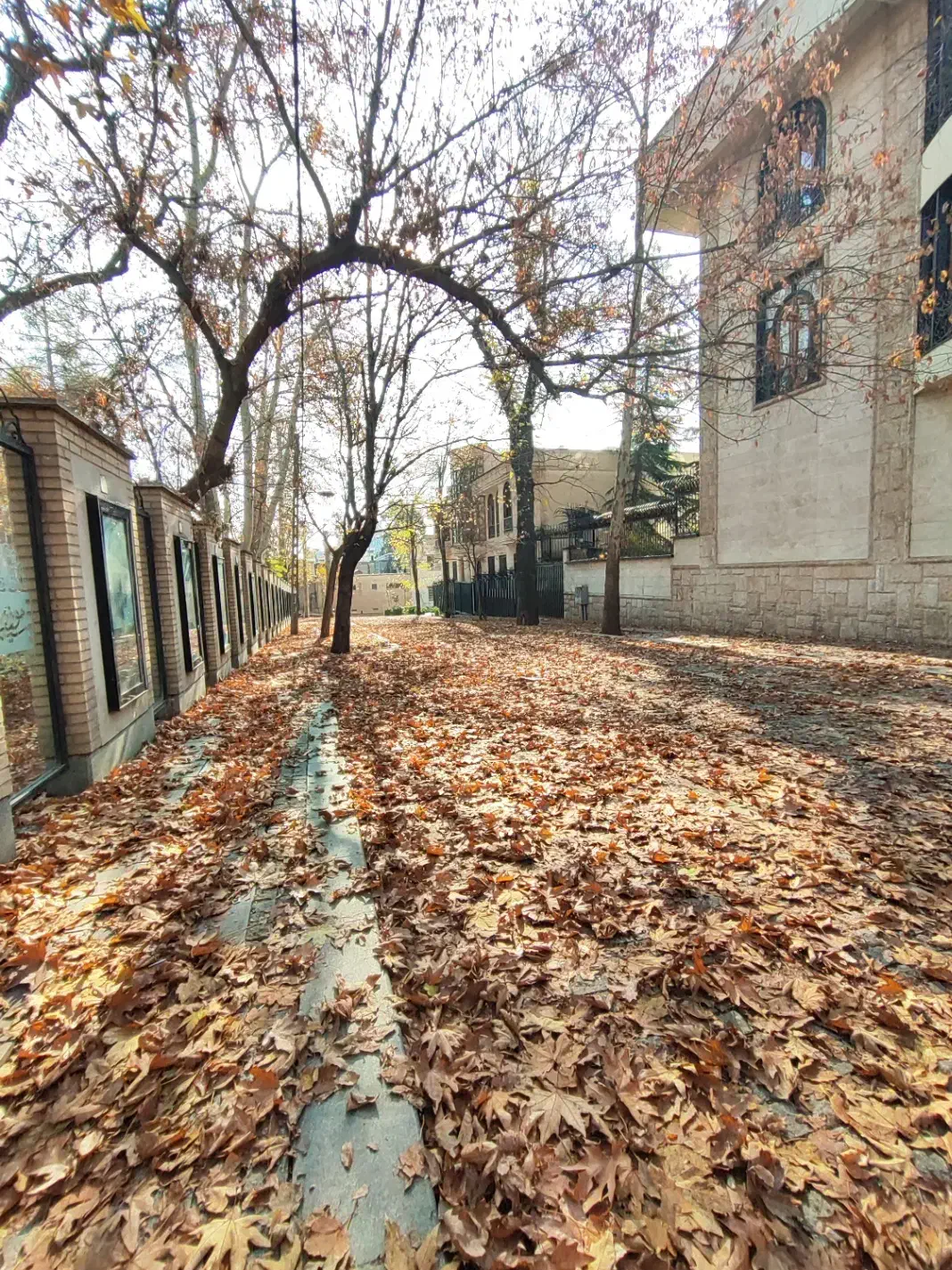 ۳۳۵ متری لادن باغ فردوس