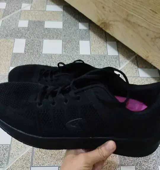 کتونی اورجینال|کیف، کفش، کمربند|بروجرد, |دیوار