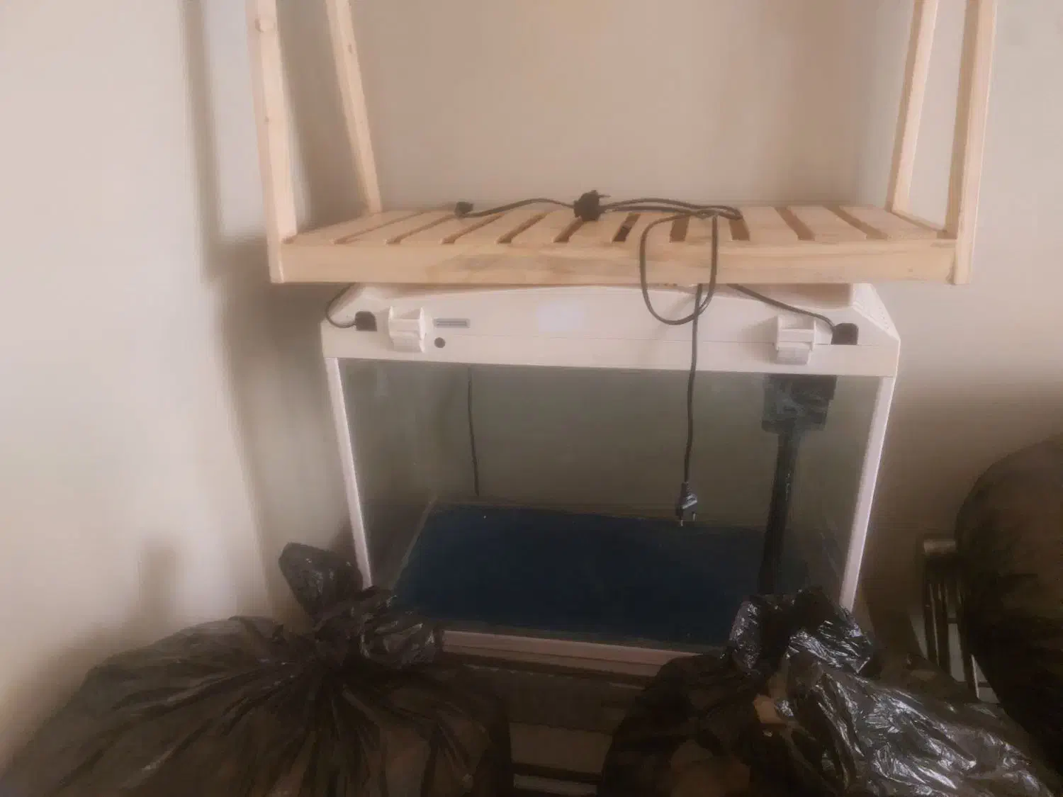 اکواریوم شرکتی|ماهی|بندرعباس, |دیوار