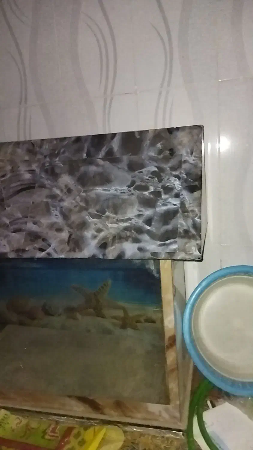 اکواریوم|ماهی|زابل, |دیوار