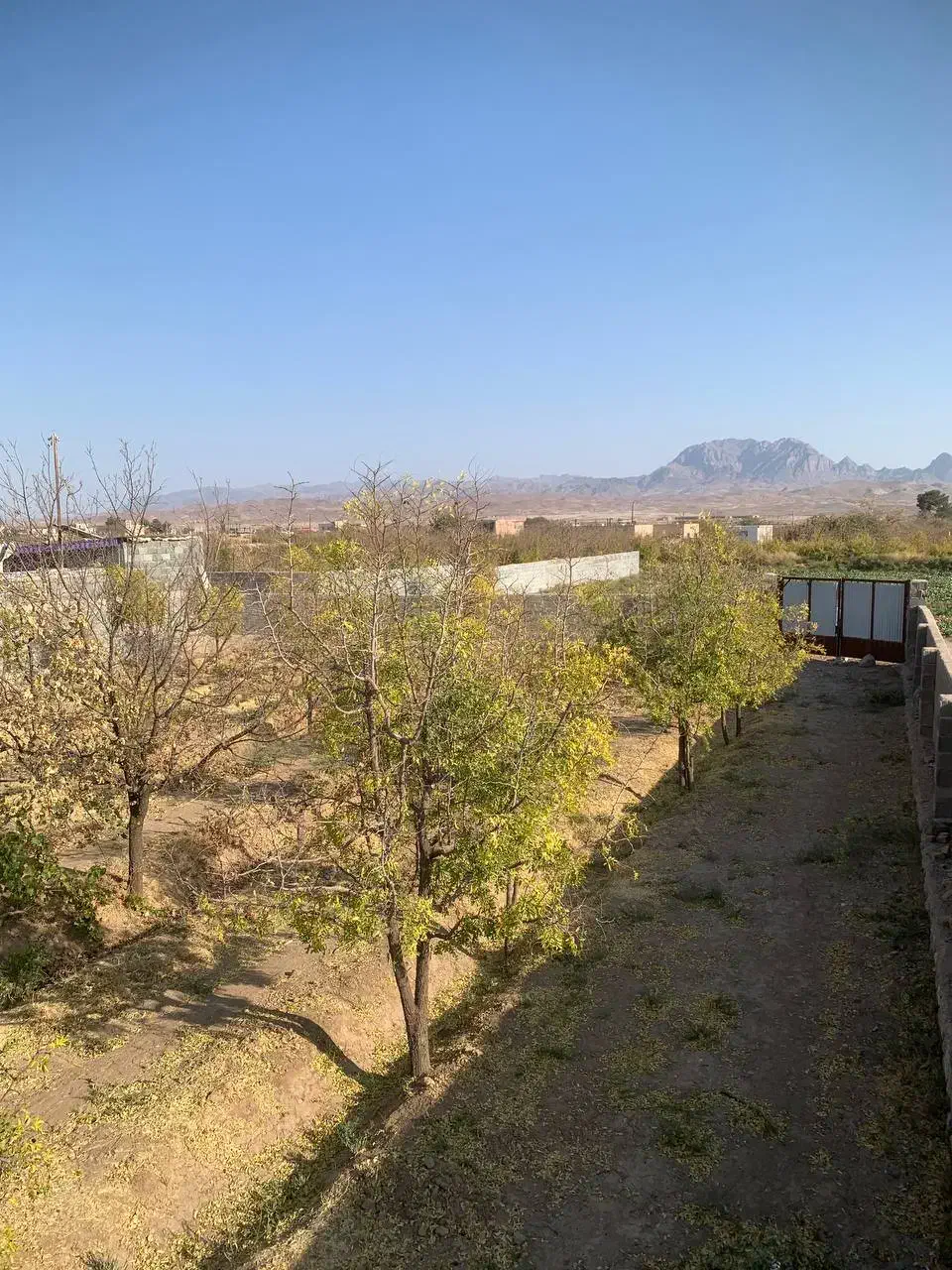 فروش باغ تقاب|فروش زمین و ملک کلنگی|خوسف, |دیوار