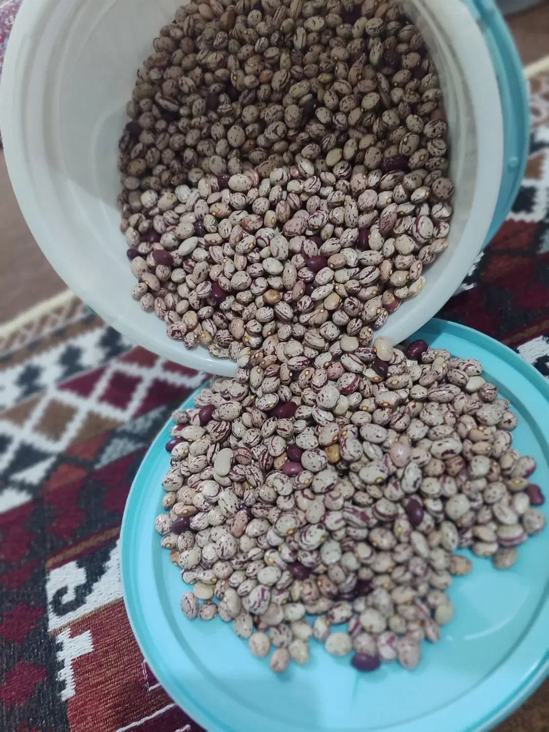 لوبیا چیتی|خوردنی و آشامیدنی|ایجرود, |دیوار