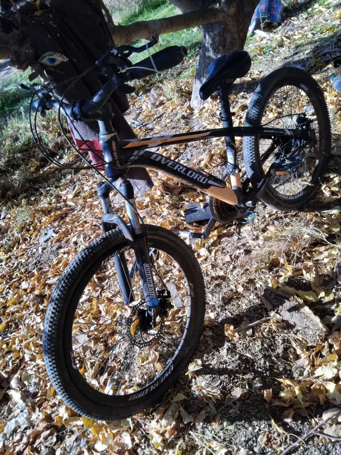 دوچرخه 24|دوچرخه، اسکیت، اسکوتر|تربت جام, شهید مدرس|دیوار