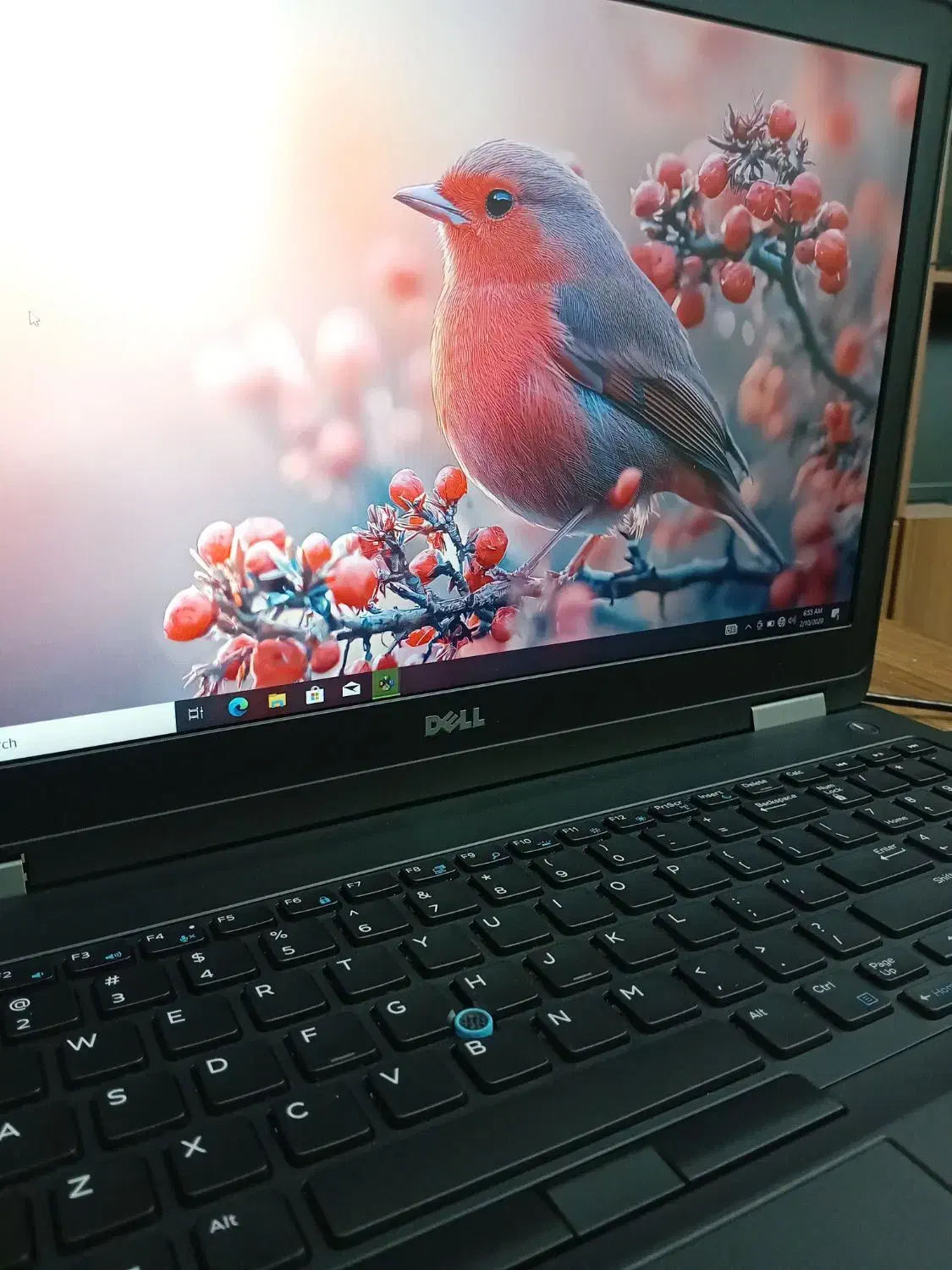 لپ تاپ برند اروپایی DELL در حد نو|رایانه همراه|بابل, |دیوار