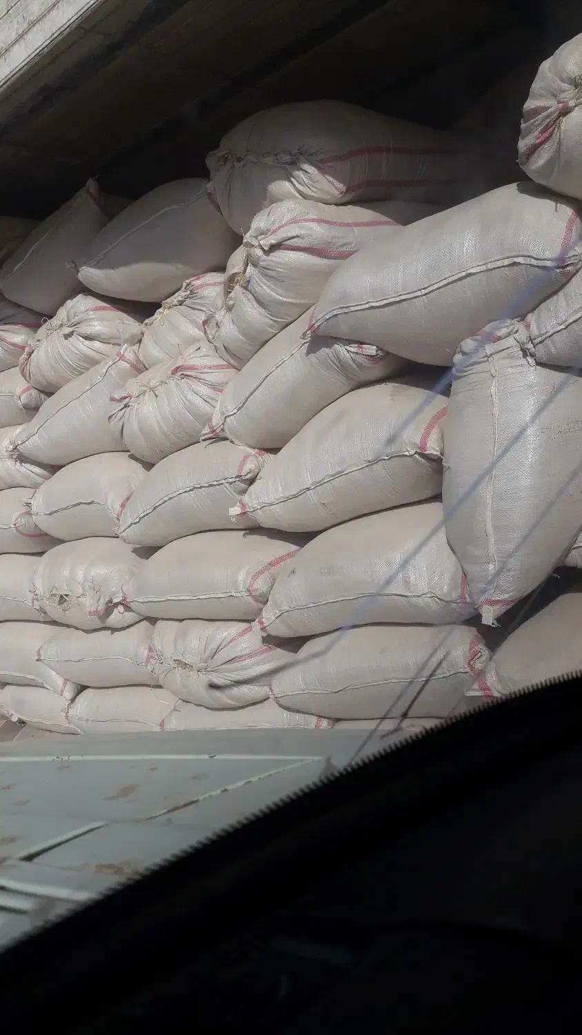 کاه دیم کردستان|حیوانات مزرعه|زابل, |دیوار