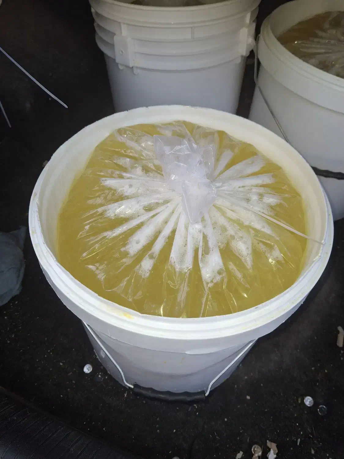 سفیده تخم مرغ عمده|عمده‌فروشی|مشهد, فاطمیه|دیوار