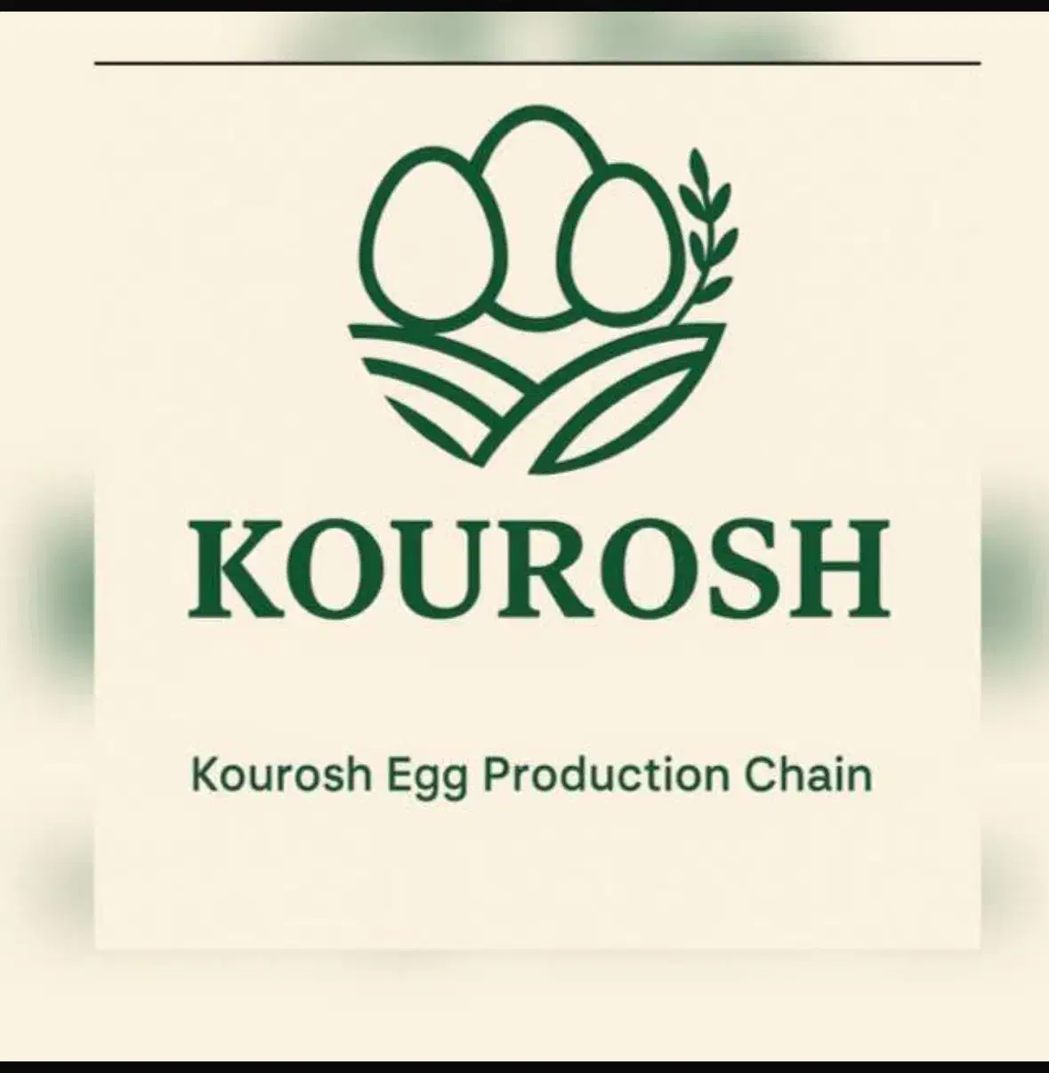 استخدام خانم در بخش بسته بندی تخم مرغ(کوروش سبز)|استخدام صنعتی، فنی، مهندسی|شاهین‌شهر, عطار|دیوار