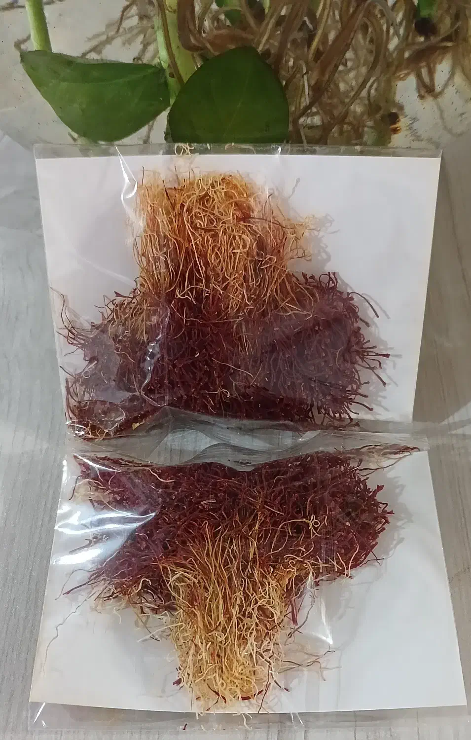 زعفران بجستان|خوردنی و آشامیدنی|تهران, قصر فیروزه ۱|دیوار