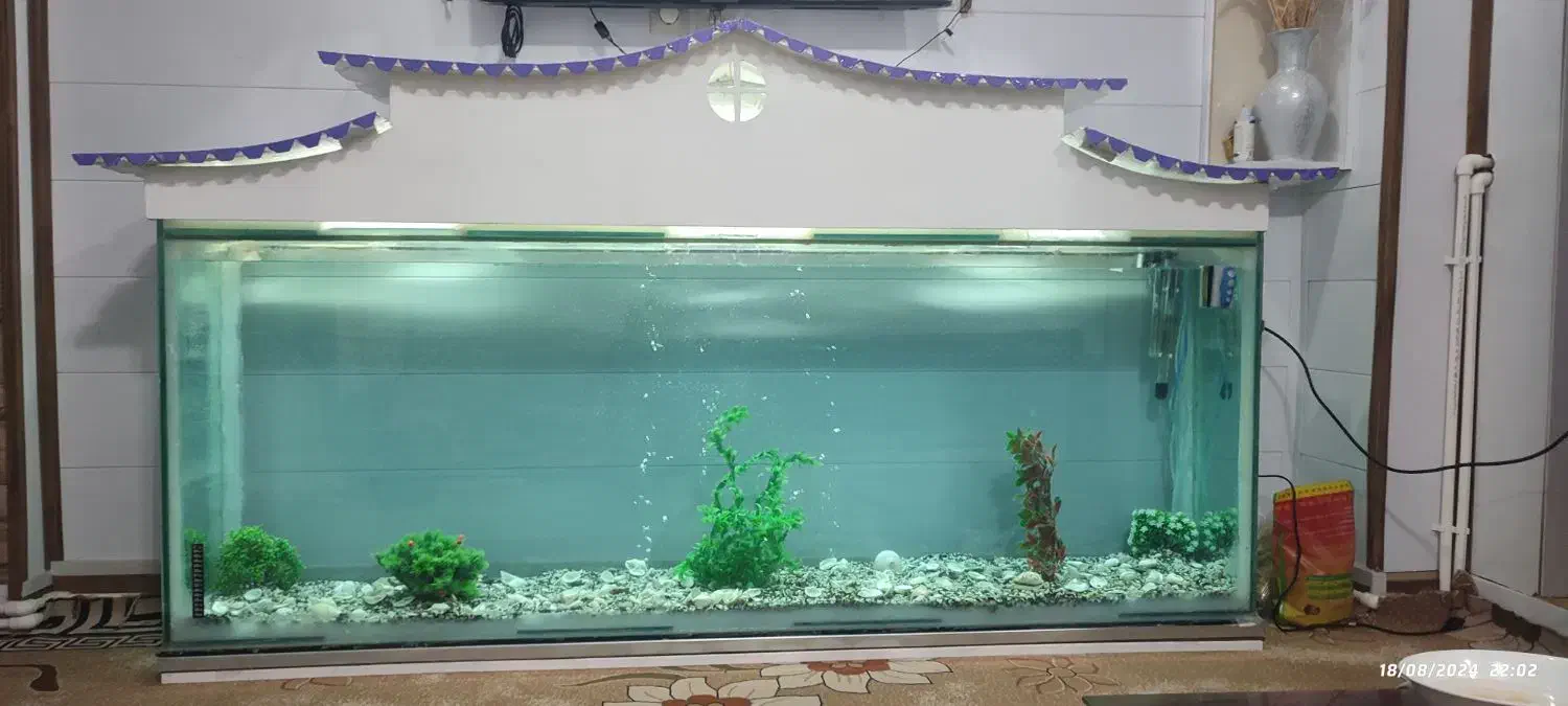 آکواریوم بزرگ|ماهی|دهاقان, |دیوار