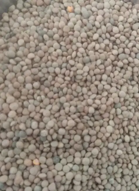 عدس محلی|خوردنی و آشامیدنی|سنقر, |دیوار