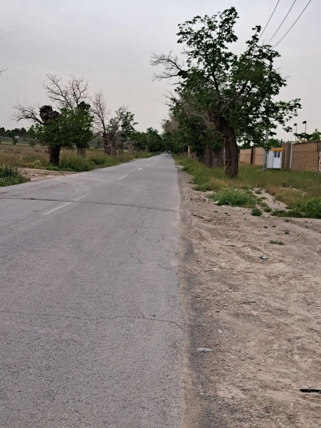 تصویر 2