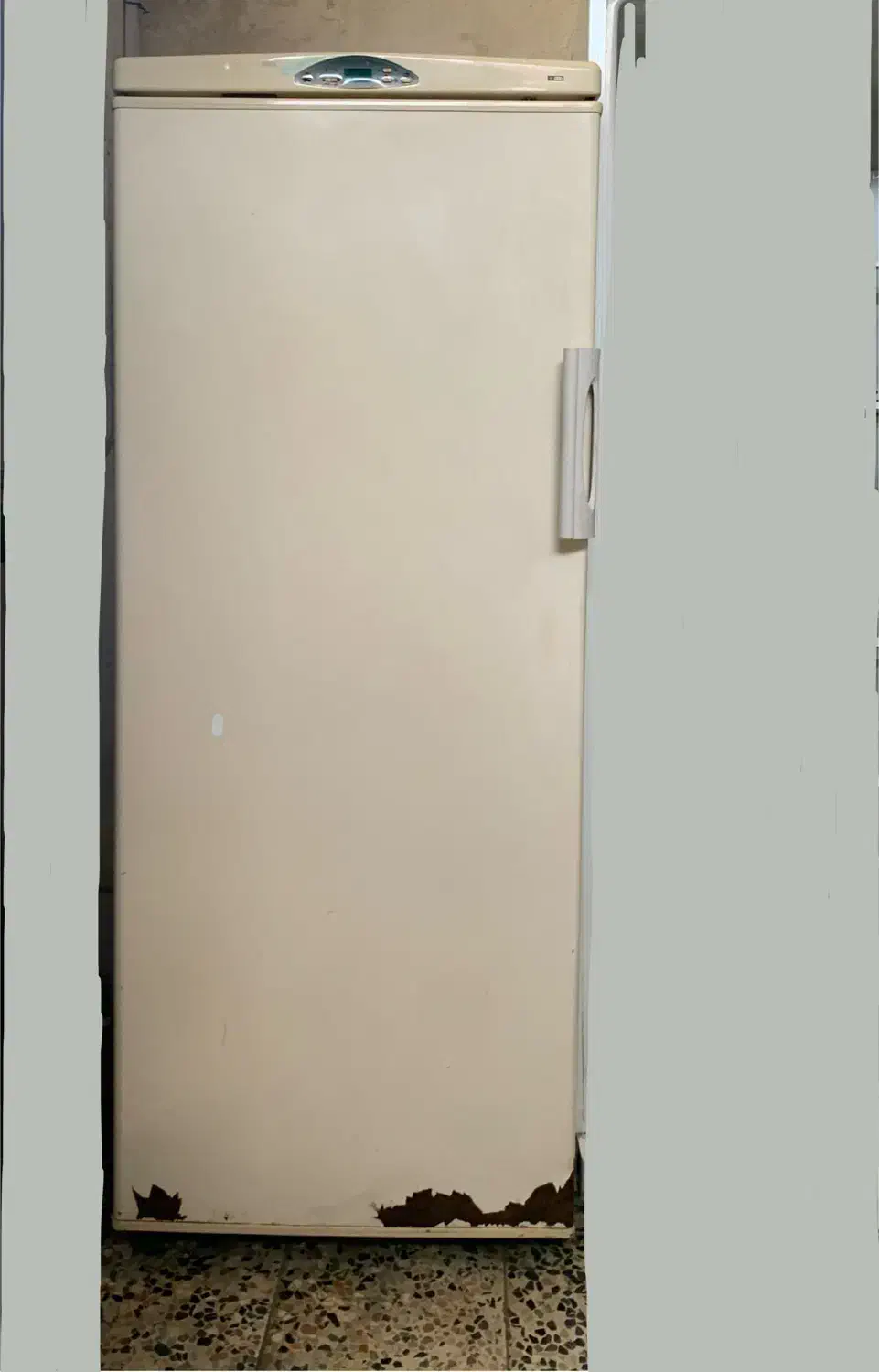 فریزر|یخچال و فریزر|رشت, جماران|دیوار