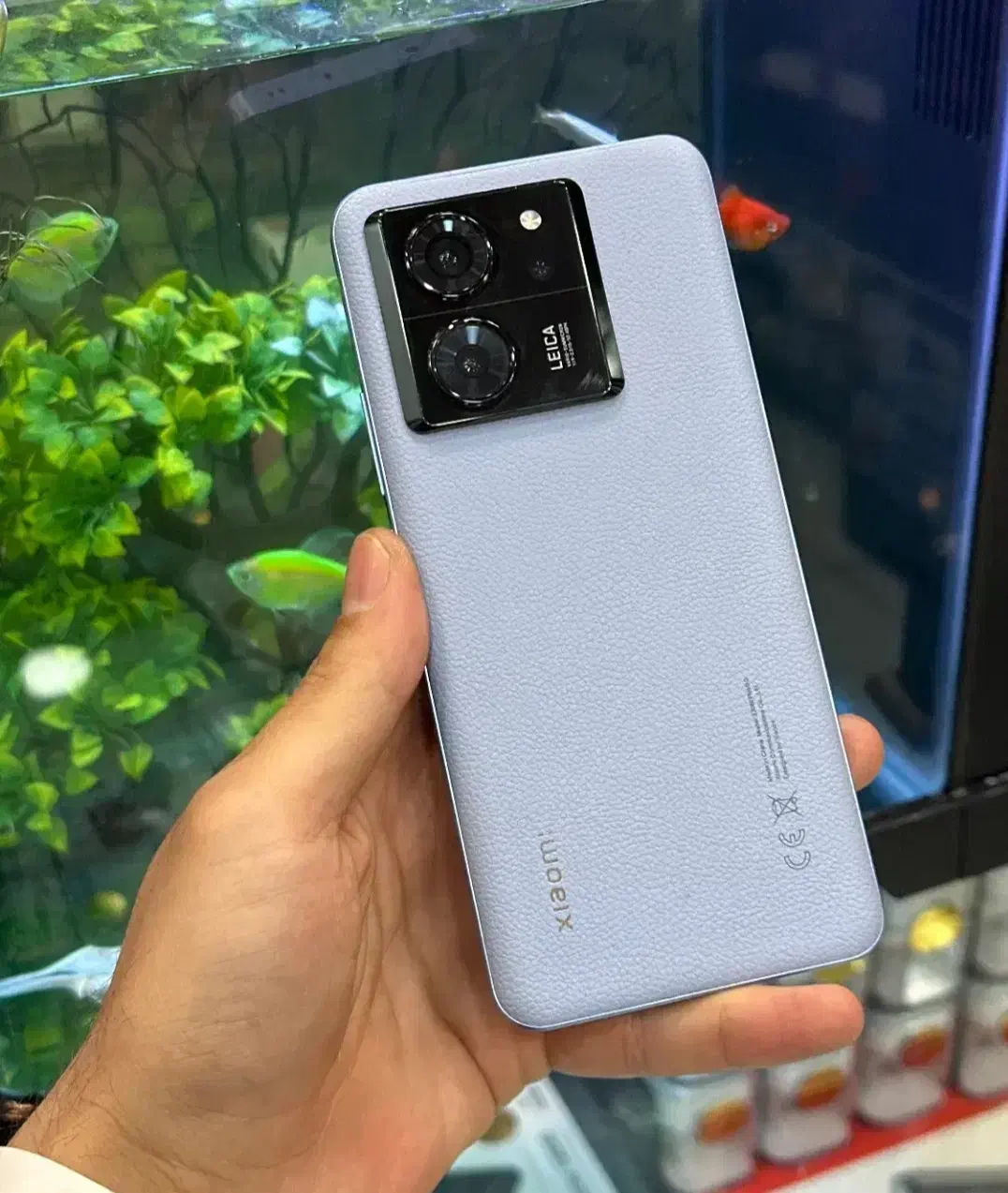 شیامی ۱۳ تی|موبایل|شیراز, درکی|دیوار