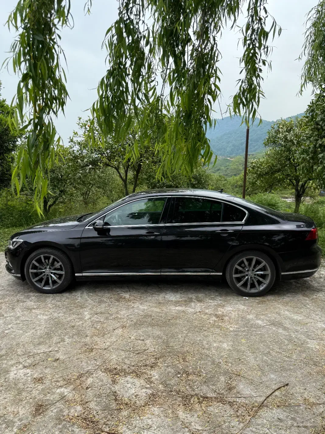 پاسات ۲۰۱۸|خودرو سواری و وانت|تهران, سازمان برنامه شمالی|دیوار