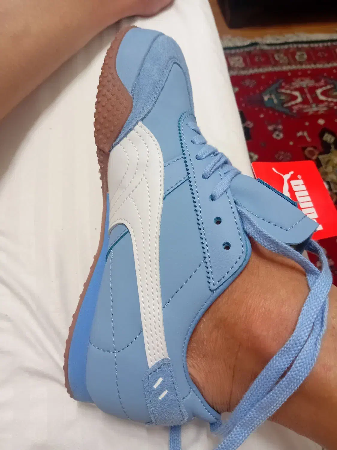 کتونی|کیف، کفش، کمربند|شیراز, فرودگاه شهید دستغیب شیراز|دیوار