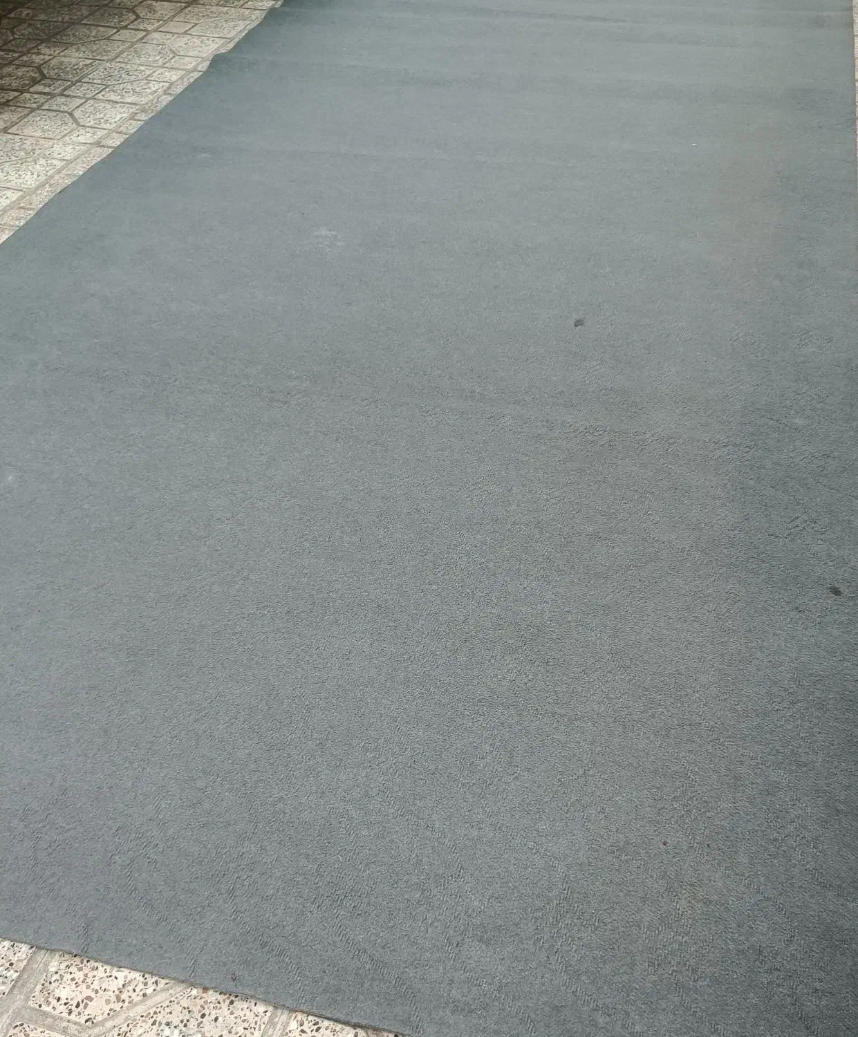 رنگ طوسی موکت خانواده|موکت|گنبد کاووس, |دیوار