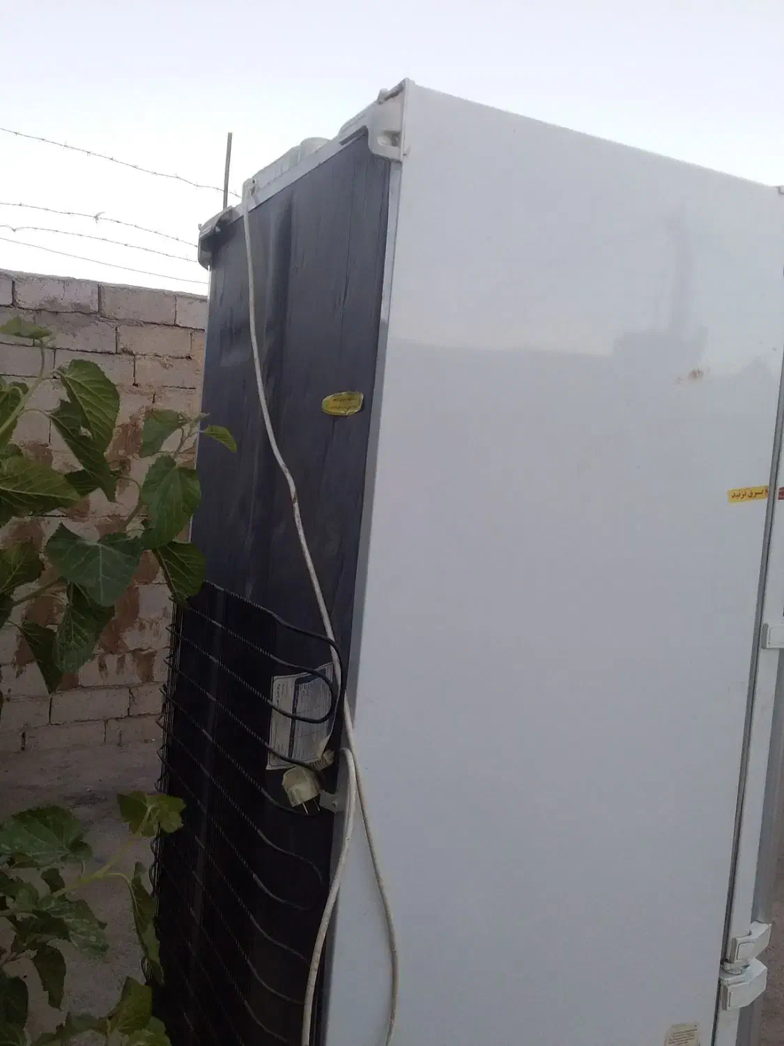 سلام یخچال سالم بخاطر جابه جای میفروشم|یخچال و فریزر|زهک, |دیوار