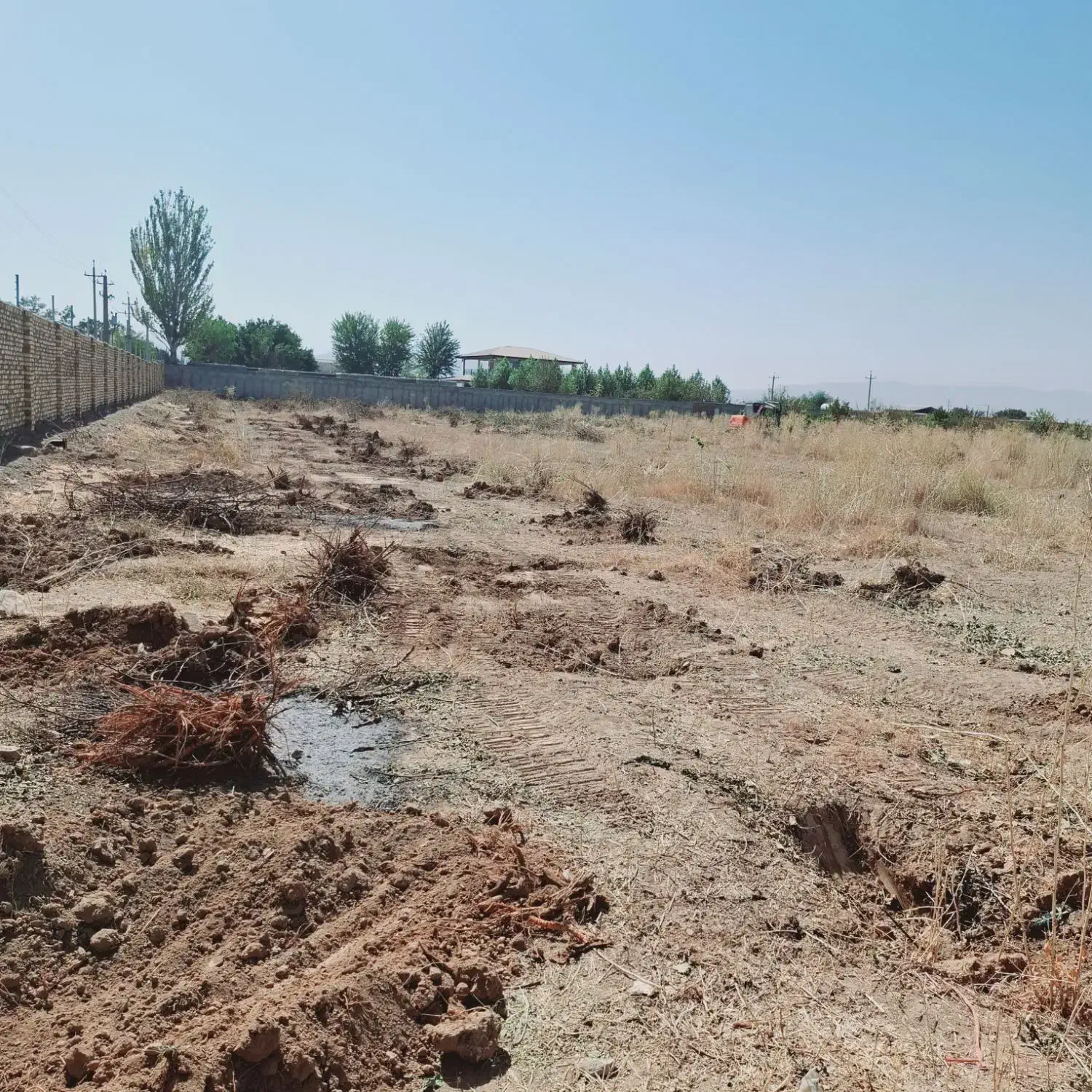 خراطی چوب پالت خدماته پیوندضایعات تیرخریدارم صنوبر|خدمات باغبانی و درختکاری|کمیجان, |دیوار