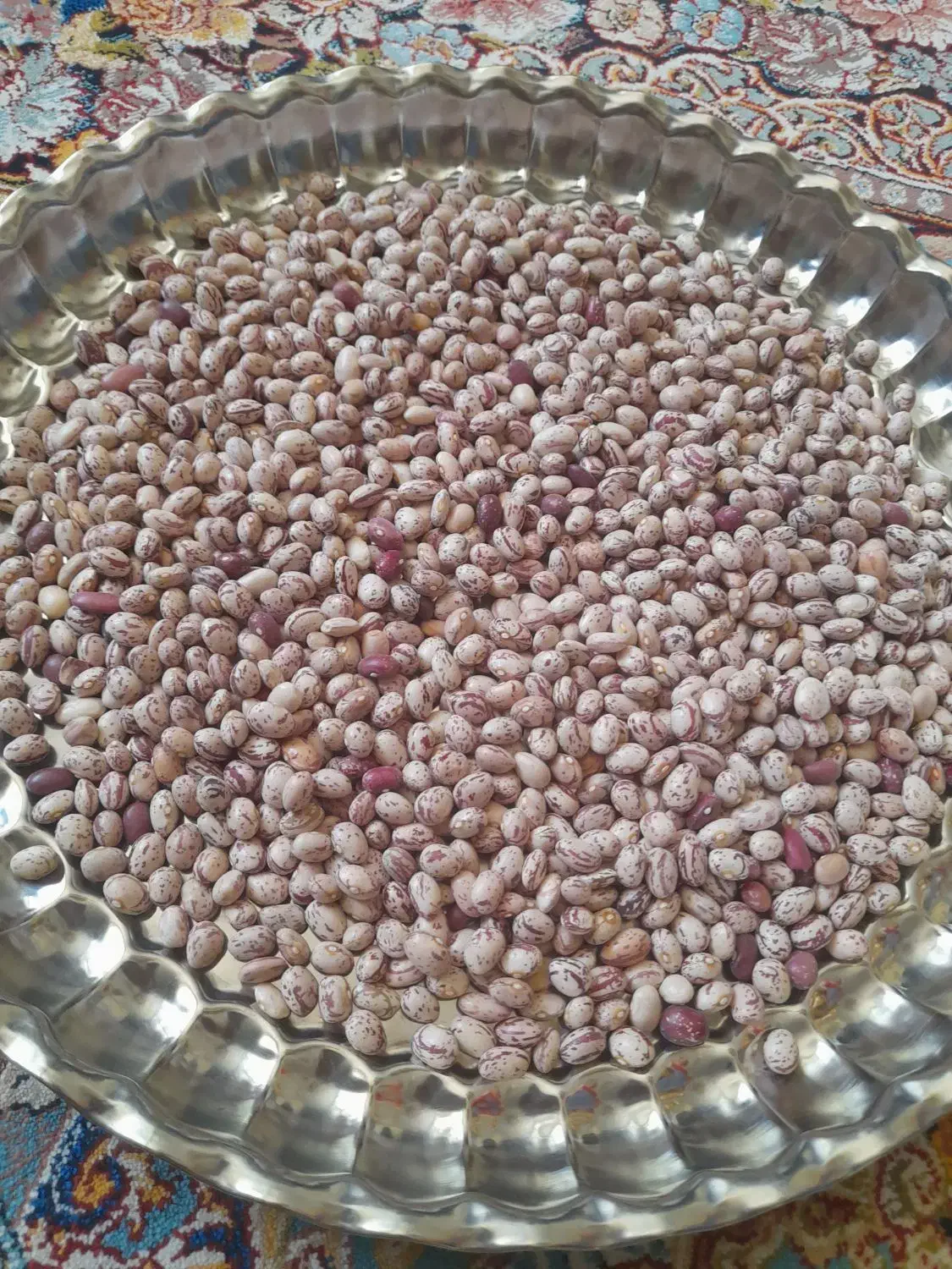 لوبیا چیتی درشت و تمیز فریدونشهر|خوردنی و آشامیدنی|فولادشهر, مسکن مهر فولادشهر|دیوار