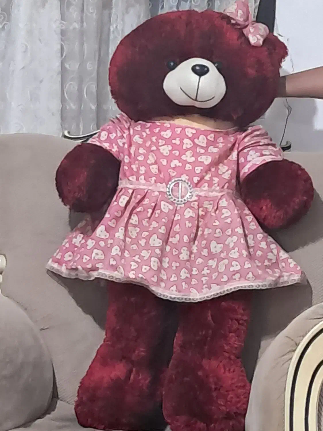 خرس|اسباب‌بازی بچه|لنگرود, |دیوار