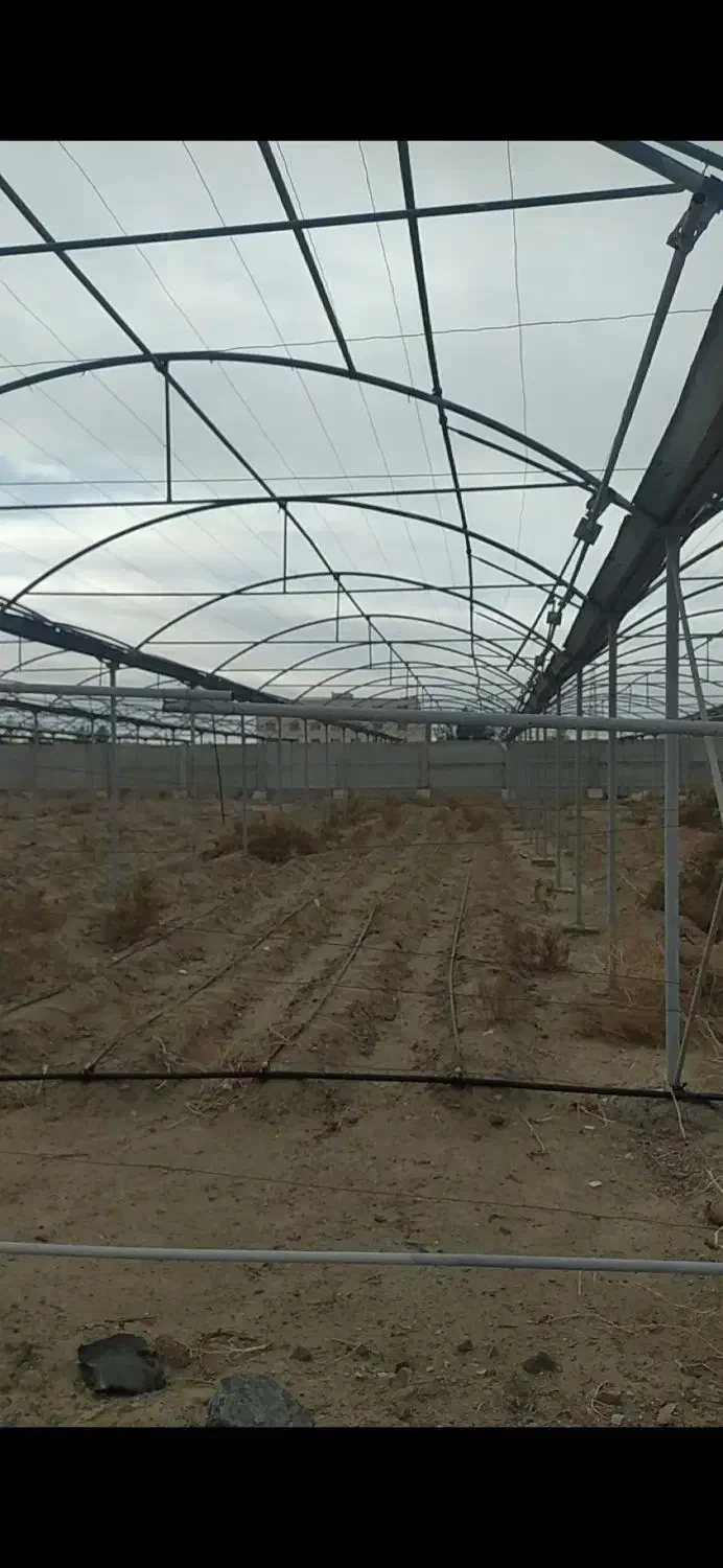 گلخانه|سازهای بادی|زابل, |دیوار