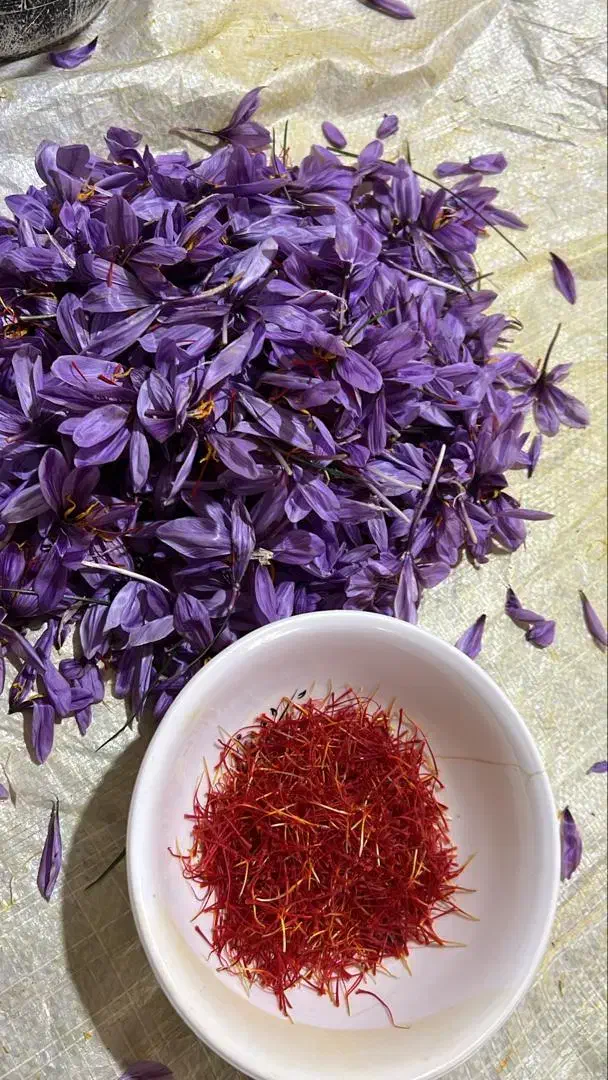 بهترین زعفران مشهد با عیار بالا|خدمات پذیرایی، مراسم|میان ولایت, |دیوار