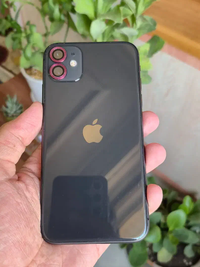 Iphone 11LLa|موبایل|کاشان, امیرکبیر|دیوار