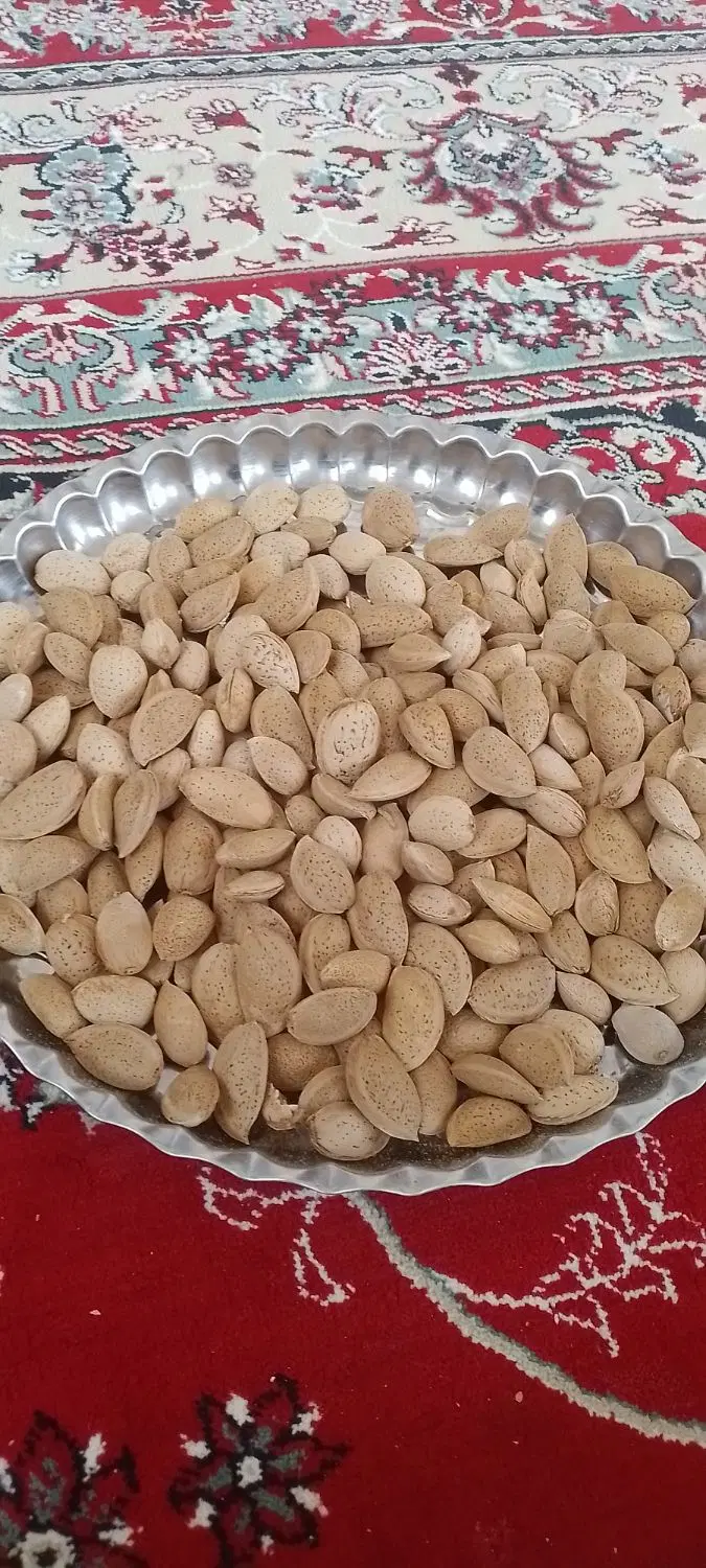 بادام|خوردنی و آشامیدنی|گرمه, |دیوار