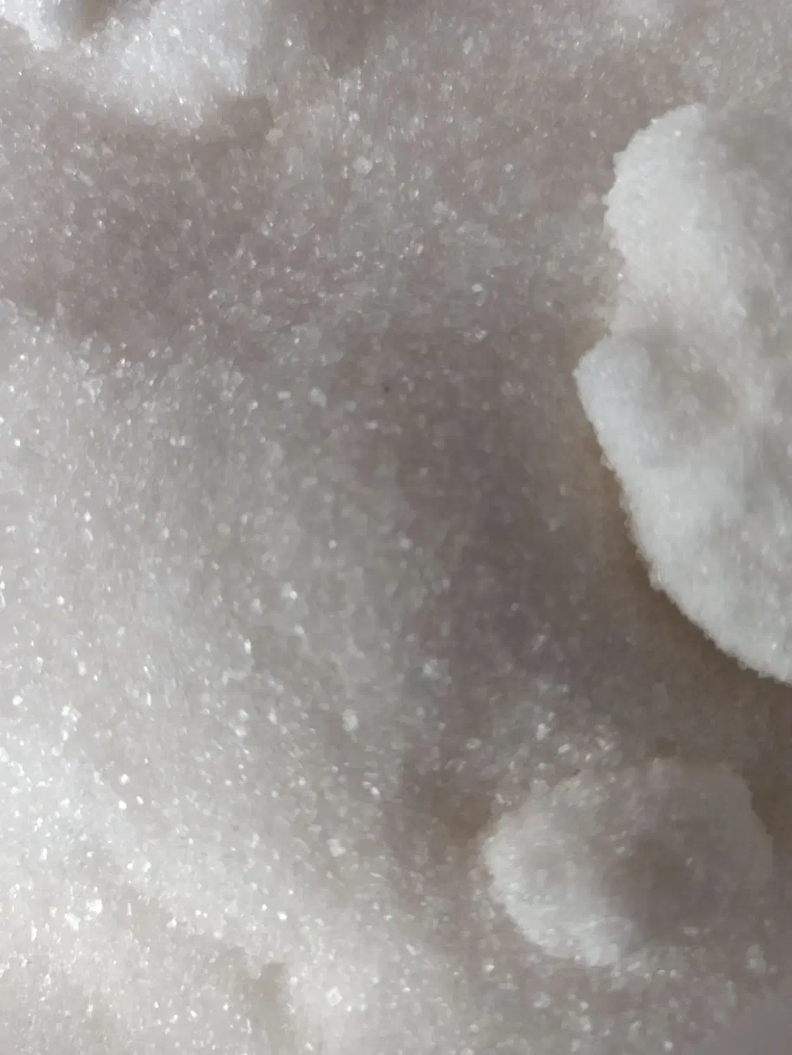 شکر..|خوردنی و آشامیدنی|نیشابور, دارایی|دیوار