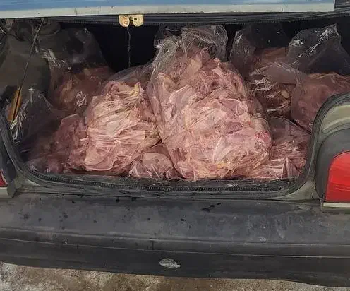 اسکلت مرغ غذای سگ گربه ارزان تراز همه جا|لوازم جانبی حیوانات|ماهدشت, |دیوار