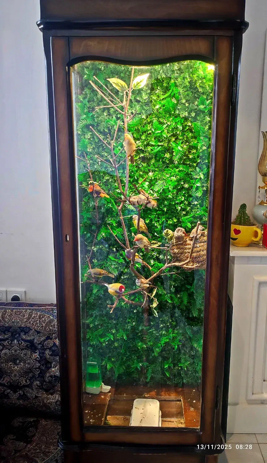 مجموعه ای از فنج های مولد|پرنده|الوند, |دیوار