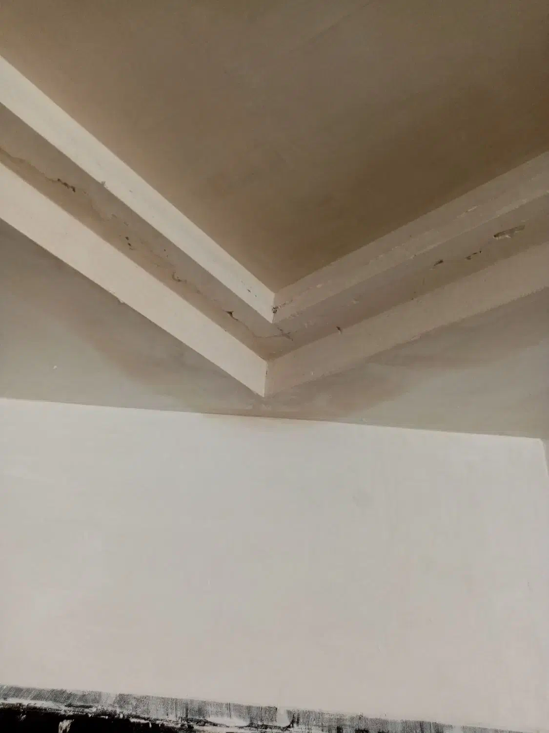 گچکاری کلی و جزئی|خدمات پیشه و مهارت|تهران, مجیدیه|دیوار