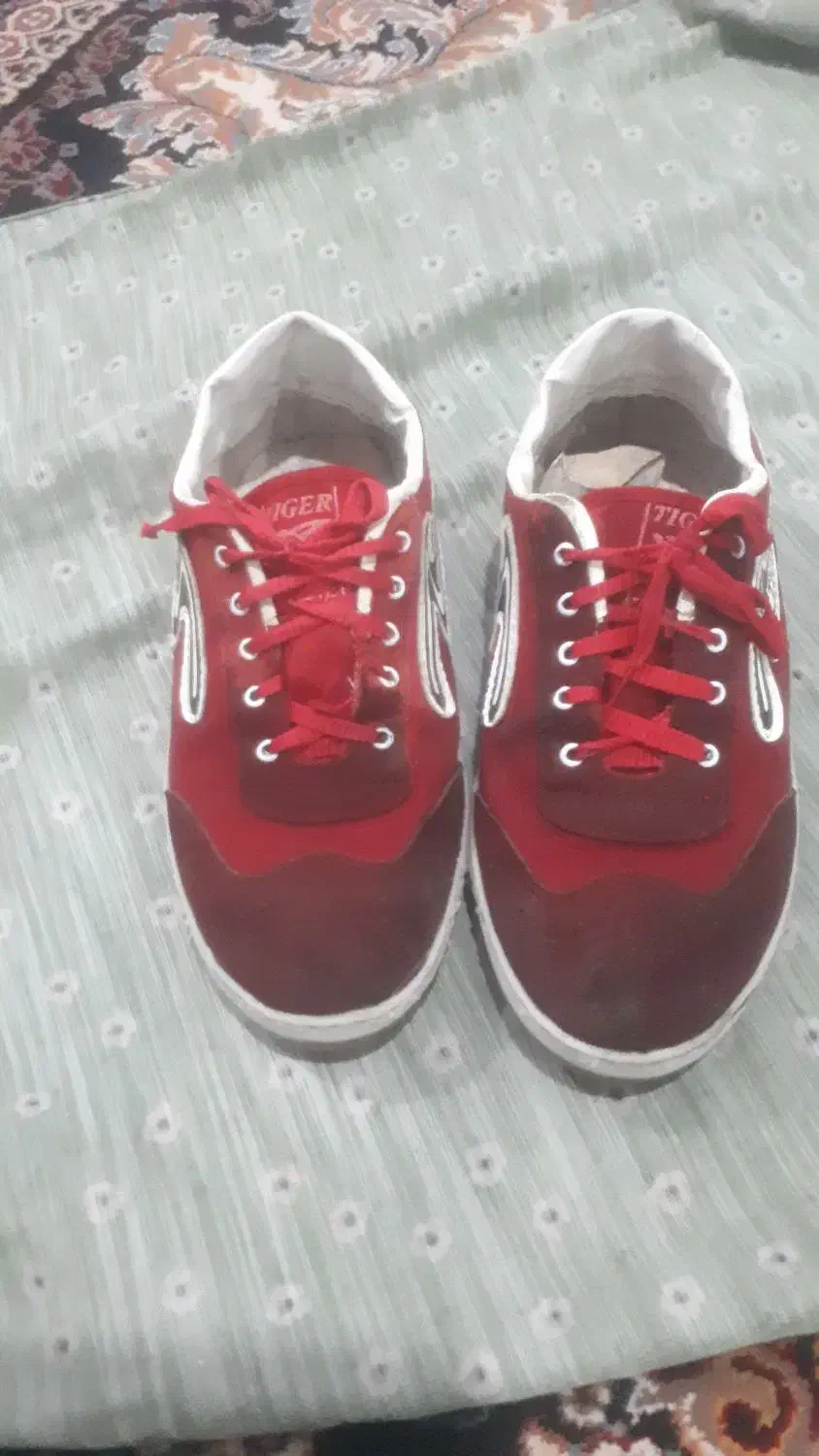 کفش فوتسال شماره ۴۳ به ۴۲ میخوره|کیف، کفش، کمربند|دورود, |دیوار