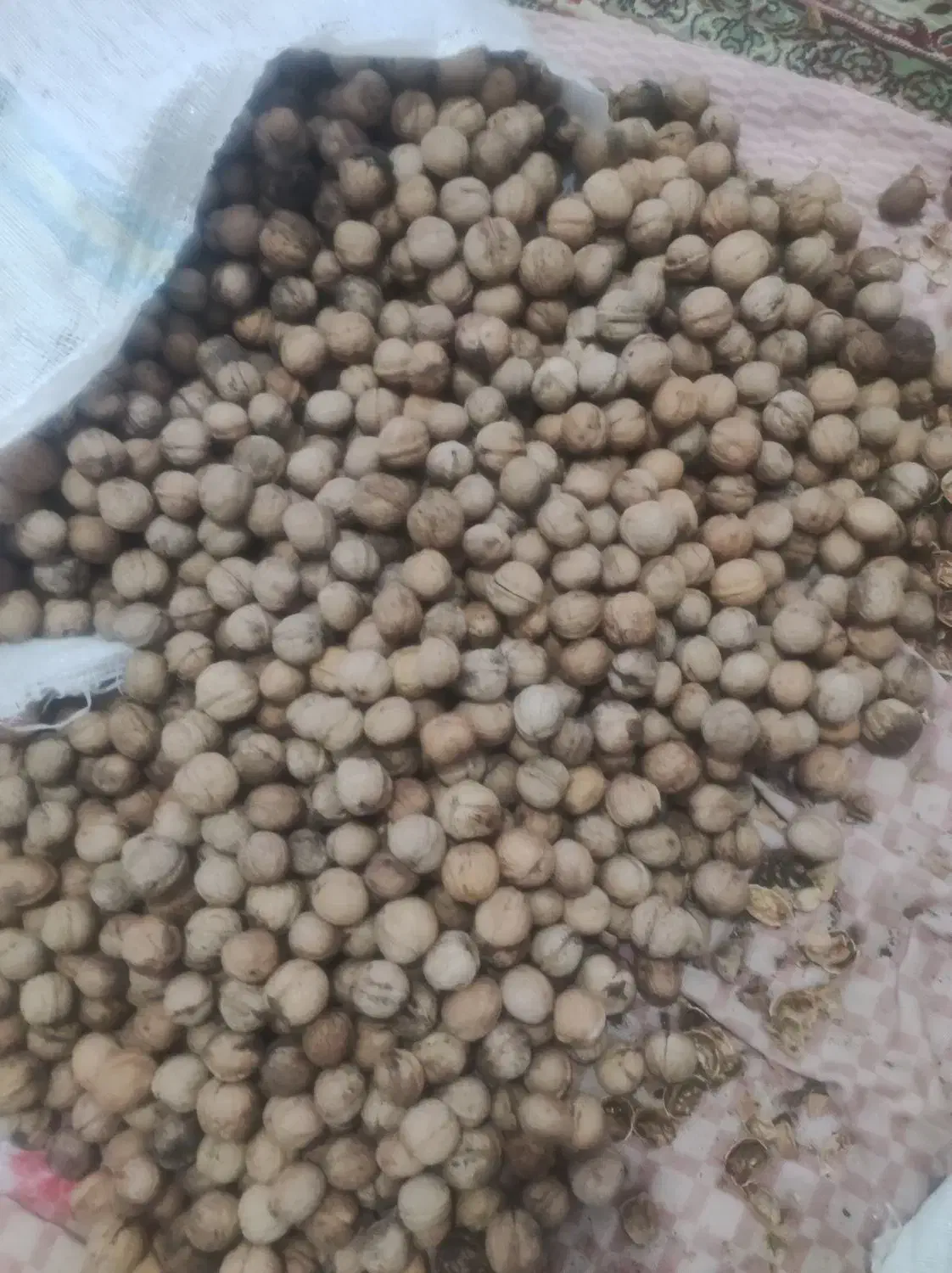 گردو|خوردنی و آشامیدنی|بردسیر, |دیوار