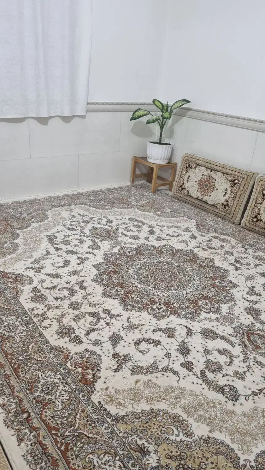 فرش ۹متری درحد نو|فرش|بیجار, |دیوار