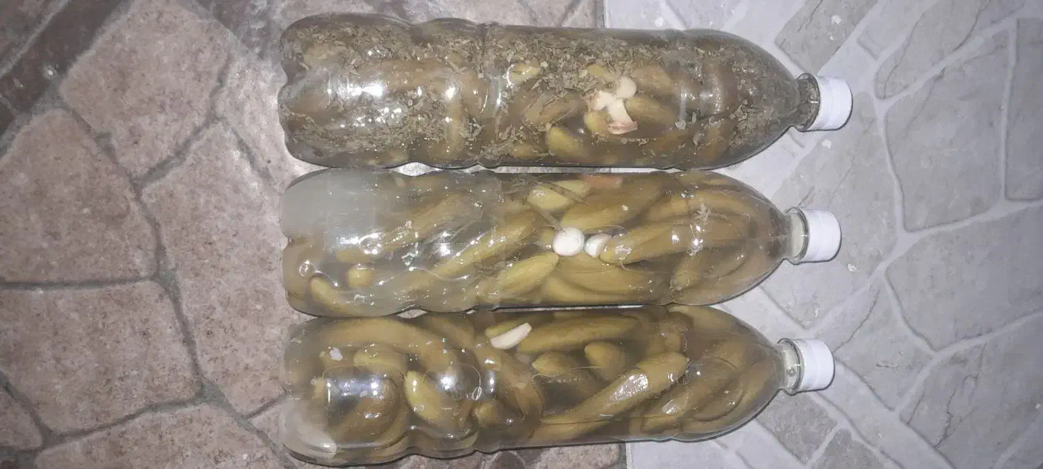 خیارشور خانگی ریز نوشابه ای|خوردنی و آشامیدنی|دهگلان, |دیوار