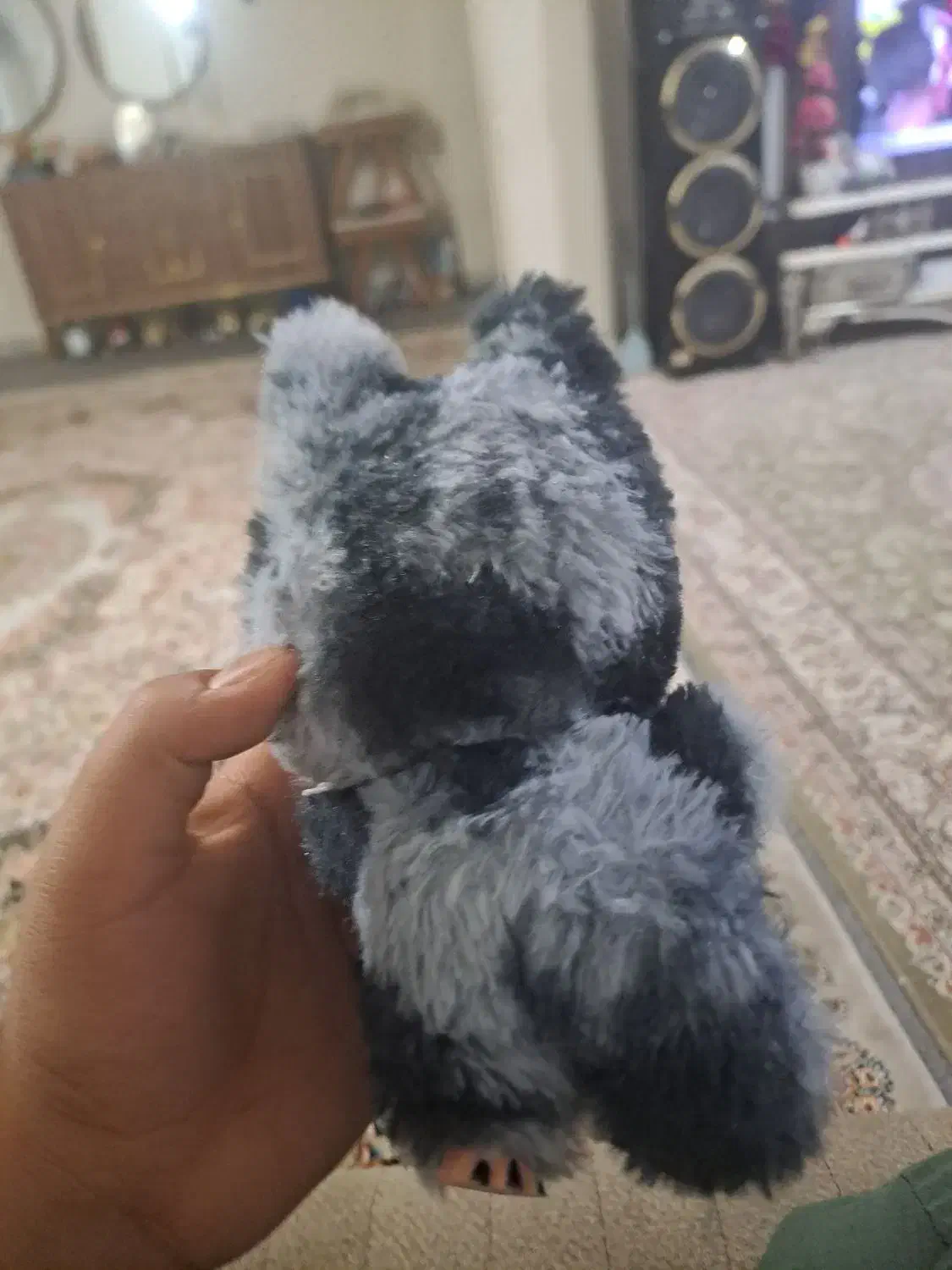 لبوبو|اسباببازی|اصفهان, کوی گلزار|دیوار