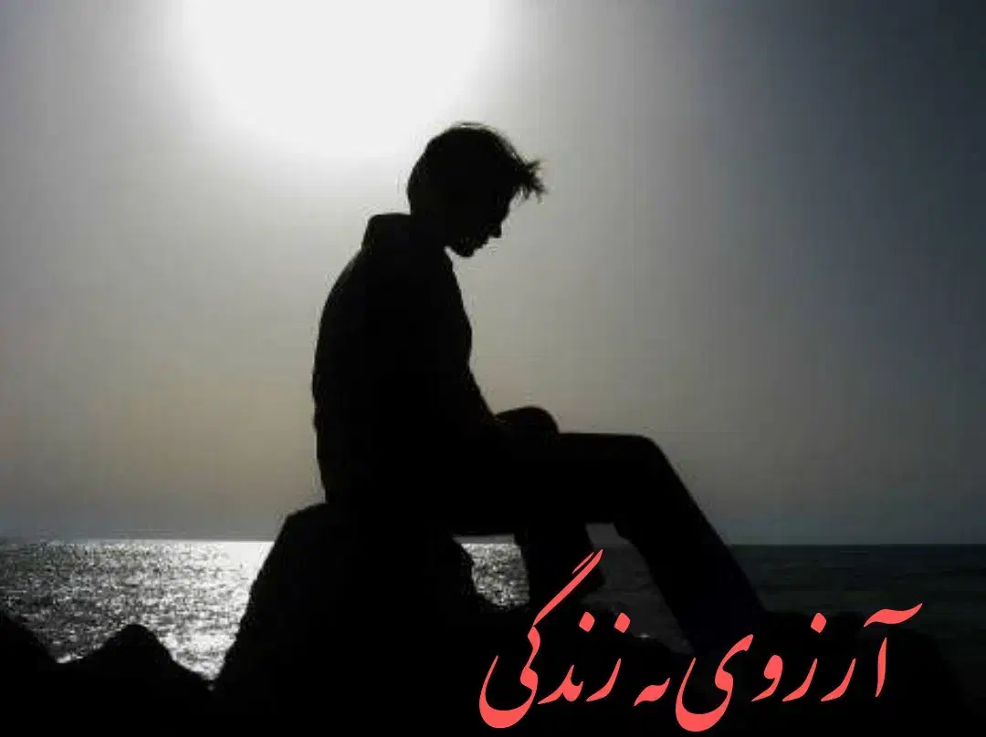 کمک ــhelp|فعالیت داوطلبانه|پرند, فاز ۲|دیوار