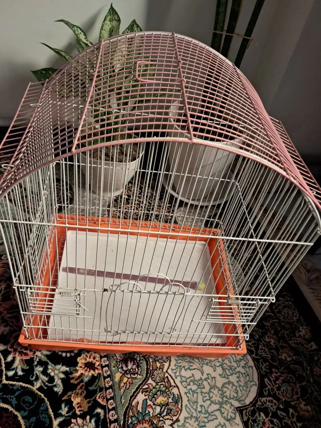 قفس پرنده|لوازم جانبی حیوانات|قدس, شهر‌قدس|دیوار