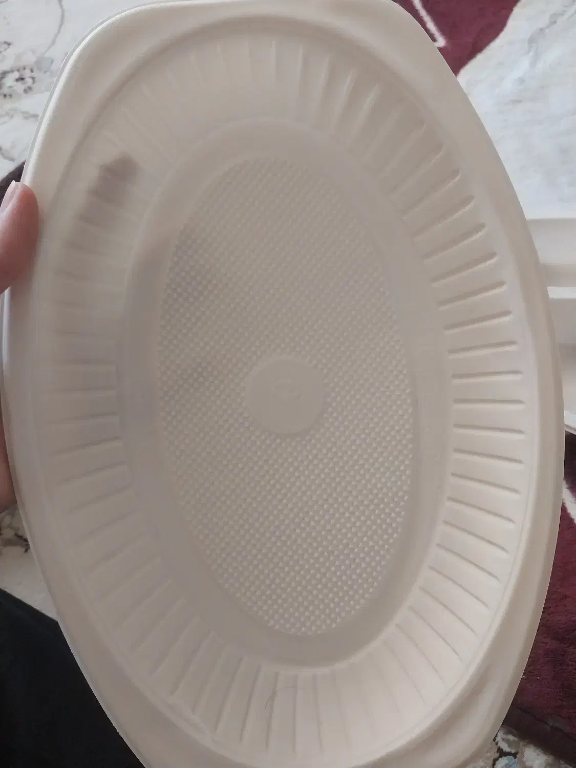 تعدادی ظرف گیاهی|ظروف نگهدارنده، پلاستیکی، یک‌بارمصرف|بهبهان, |دیوار